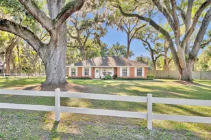 26721 Bloomfield Ave, Yalaha, FL 34797 - Photo 4