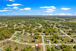 22 Malauka Run Ln, Ocklawaha, FL 32179 - Photo 44