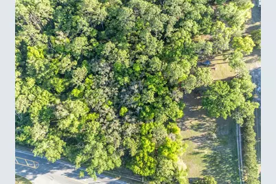 Tbd County Road 48, Yalaha, FL 34797 - Photo 4