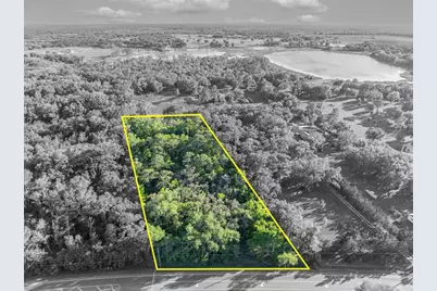 Tbd County Road 48, Yalaha, FL 34797 - Photo 2