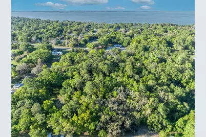 Tbd County Road 48, Yalaha, FL 34797 - Photo 10