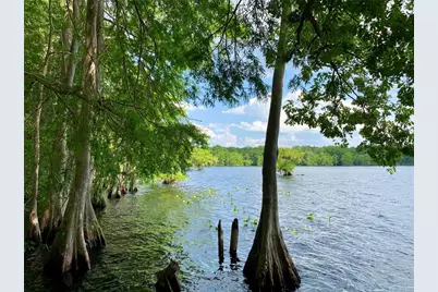41180 Balsam Street, Eustis, FL 32736 - Photo 54