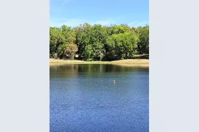 0 W Miller Street, Fruitland Park, FL 34731 - Photo 6