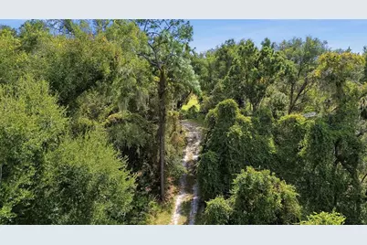 5505 Cr 634S, Bushnell, FL 33513 - Photo 4