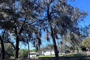 10731 Libby Number 3 Rd, Clermont, FL 34715 - Photo 36