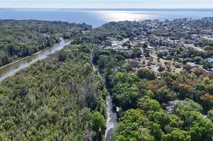 11449 Ocklawaha Dr, Leesburg, FL 34788 - Photo 56