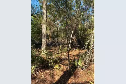 24533 Pink Panther Road, Paisley, FL 32767 - Photo 2