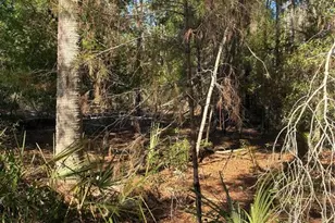 24533 Pink Panther Rd, Paisley, FL 32767 - Photo 2