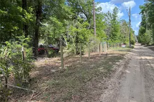 24533 Pink Panther Rd, Paisley, FL 32767 - Photo 4