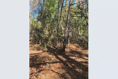 24533 Pink Panther Road, Paisley, FL 32767 - Photo 4