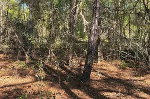 24533 Pink Panther Rd, Paisley, FL 32767 - Photo 4