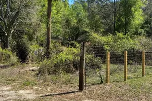 24533 Pink Panther Rd, Paisley, FL 32767 - Photo 2