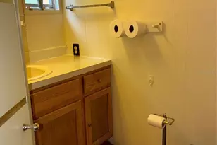 24533 Pink Panther Rd, Paisley, FL 32767 - Photo 14