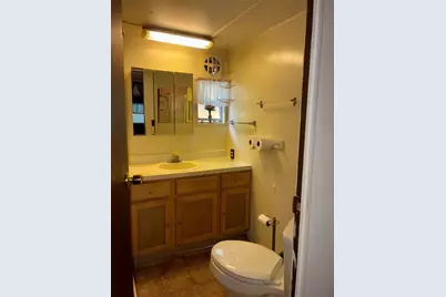 24533 Pink Panther Road, Paisley, FL 32767 - Photo 14