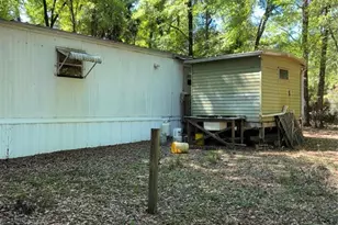 24533 Pink Panther Rd, Paisley, FL 32767 - Photo 6