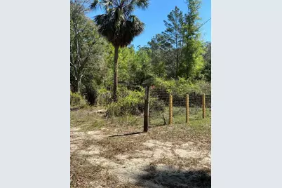 24533 Pink Panther Road, Paisley, FL 32767 - Photo 26