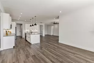 415 N Dixie Dr, Howey in the Hills, FL 34737 - Photo 24