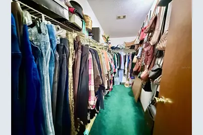 16955 SE 249th Terrace, Umatilla, FL 32784 - Photo 24