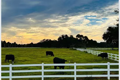 4721 SE 94th Avenue, Webster, FL 33597 - Photo 34