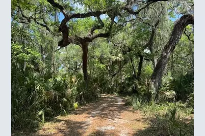 2992 N C 470, Lake Panasoffkee, FL 33538 - Photo 8