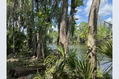 2992 N C 470, Lake Panasoffkee, FL 33538 - Photo 24