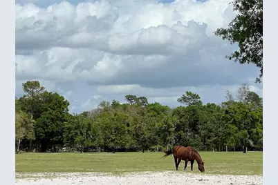 Winterwillow Lane, Eustis, FL 32736 - Photo 14