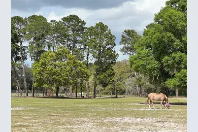 Winterwillow Lane, Eustis, FL 32736 - Photo 8