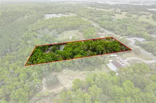 3362 N Carl G Rose Hwy, Hernando, FL 34442 - Photo 24