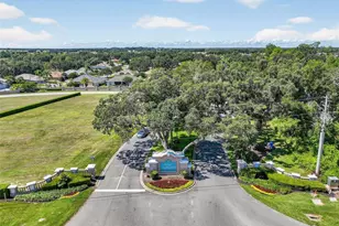 21635 Stirling Pass, Leesburg, FL 34748 - Photo 48