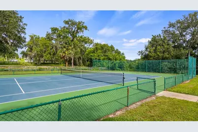 7351 Spring Mountain Lane, Yalaha, FL 34797 - Photo 58