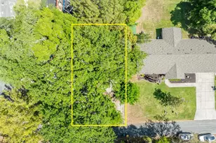 140 N Johns St, Mount Dora, FL 32757 - Photo 24