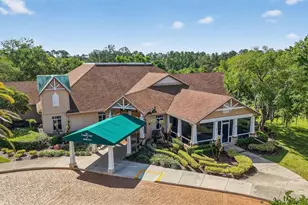 6027 Spring Creek Ct, Mount Dora, FL 32757 - Photo 40