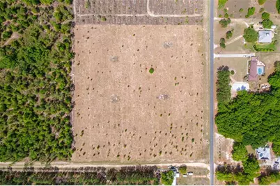 Se 170th Avenue, Weirsdale, FL 32195 - Photo 6