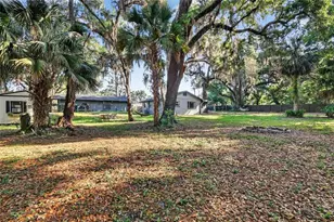 29239 S Corley Island Rd, Leesburg, FL 34748 - Photo 24