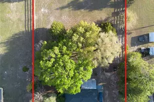 3630 Eagles Nest Rd, Fruitland Park, FL 34731 - Photo 2