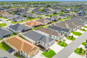 1411 Franklin Ct, The Villages, FL 32163 - Photo 58