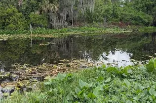 634 Misti Dr, Leesburg, FL 34788 - Photo 44