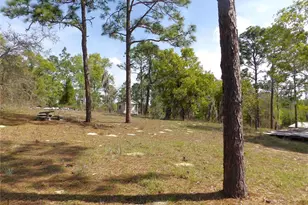 2515 E Hampshire St, Inverness, FL 34453 - Photo 46