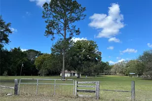 7478 Cr 663, Bushnell, FL 33513 - Photo 4