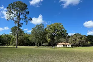 7478 Cr 663, Bushnell, FL 33513 - Photo 2