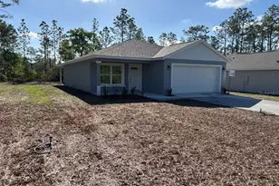11127 N Trigger Terrace, Dunnellon, FL 34433 - Photo 4