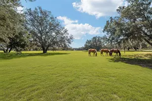 36203 Micro Racetrack Rd, Fruitland Park, FL 34731 - Photo 50