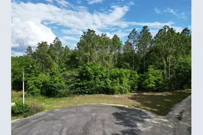 0000 SE 119 Street, Belleview, FL 34420 - Photo 1