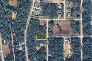 10632 N Skylark Terrace, Citrus Springs, FL 34434 - Photo 1