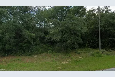 10632 N Skylark Terrace, Citrus Springs, FL 34434 - Photo 2