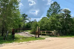 41722 Poinciana St, Eustis, FL 32736 - Photo 38