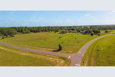 38529 Wooded Meadow Drive, Umatilla, FL 32784 - Photo 1