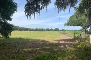 727, Webster, FL 33597 - Photo 1