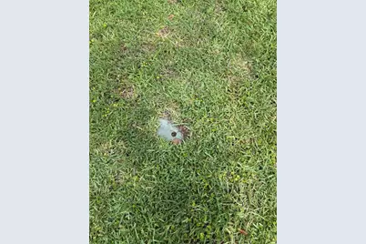 0 Westland Drive, Tavares, FL 32778 - Photo 4