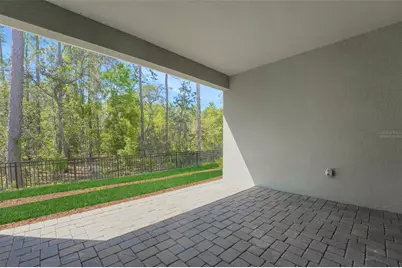 14371 Crest Palm Avenue, Windermere, FL 34786 - Photo 38